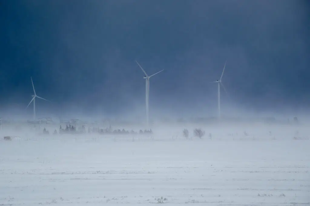 Wind turbines in a snow storm