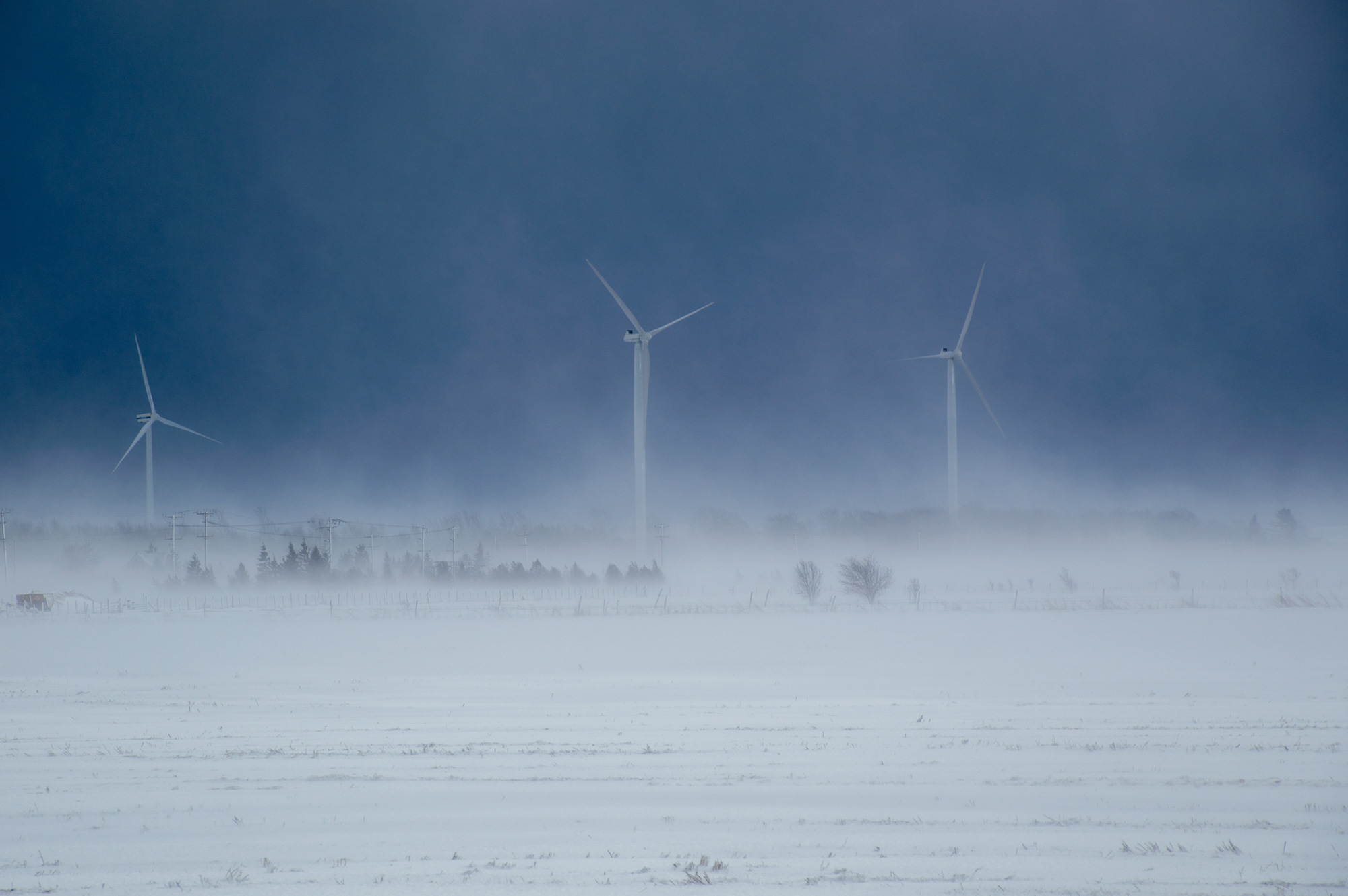 Wind turbines in a snow storm