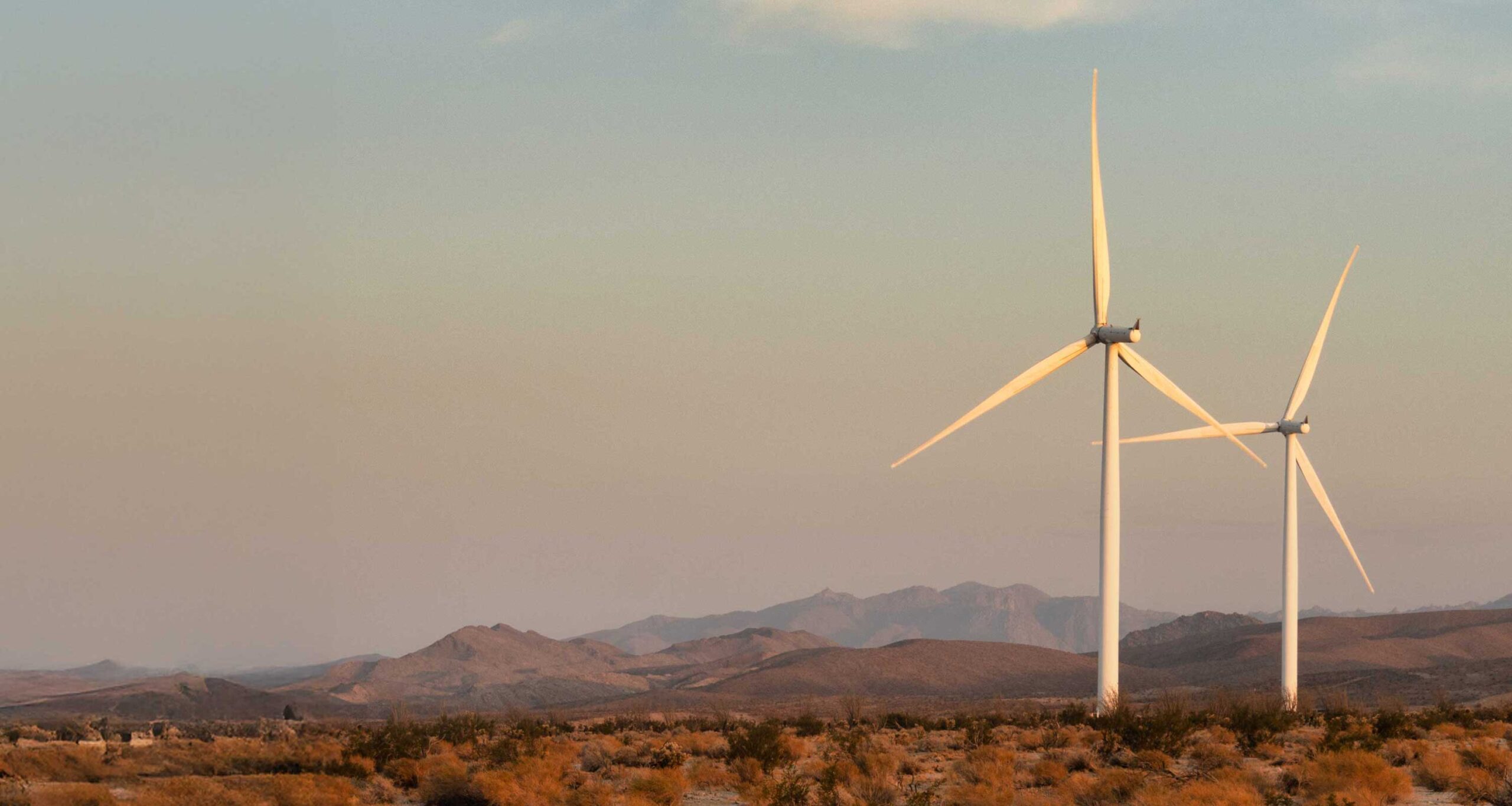 Ocotillo wind farm california wide