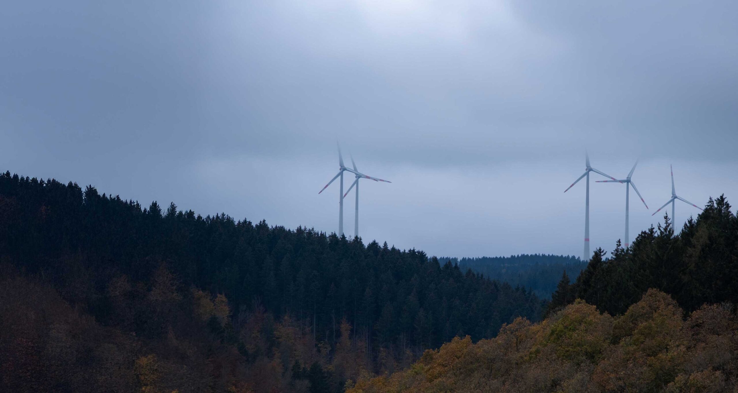Wind farm in foggy woods