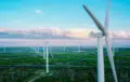 Turbine network