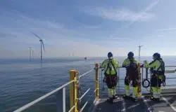 Offshore wind engineers look at farm small