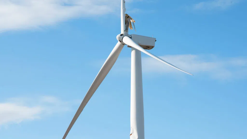 Video placeholder turbine